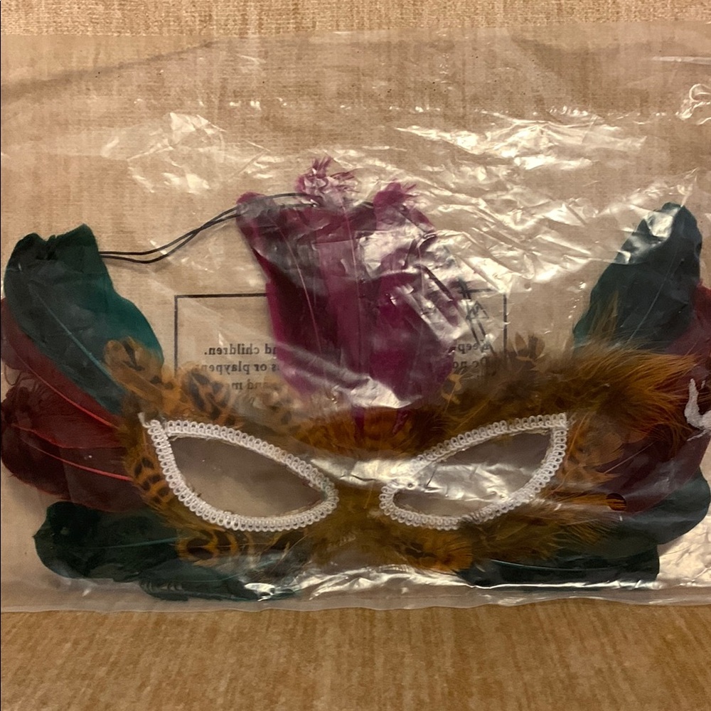 Vintage Feathered Masquerade Face Covering
